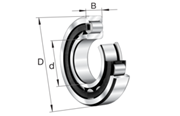 Immagine di Cuscinetto radiale a rulli cilindrici - NJ203-E-XL-TVP2