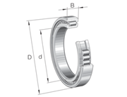 Immagine di Cuscinetto radiale a rulli cilindrici - SL183007-XL