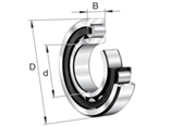 Immagine di Cuscinetto radiale a rulli cilindrici - NU240-E-M1